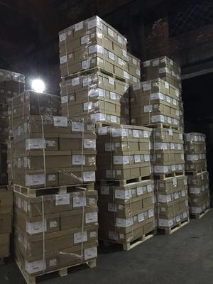 宁波至深圳物流专线与货物仓储服务 高效运输一体化的关键支撑