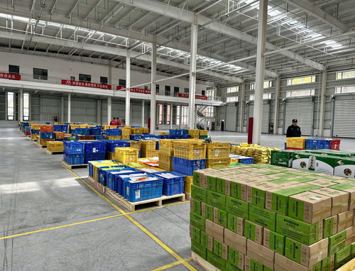 陕北首家京东物流电商仓在米脂投运 榆林农特产品驶入数字快车道