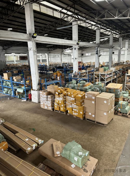 一站式物流解决方案 中国至新加坡低价海运、空运及货物仓储服务